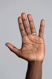 Handen : ett fall för Wallander